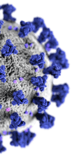 covid 19 virus illustration half slice